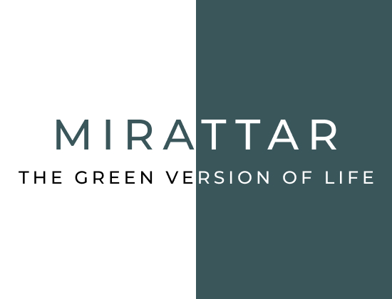 میرعطار